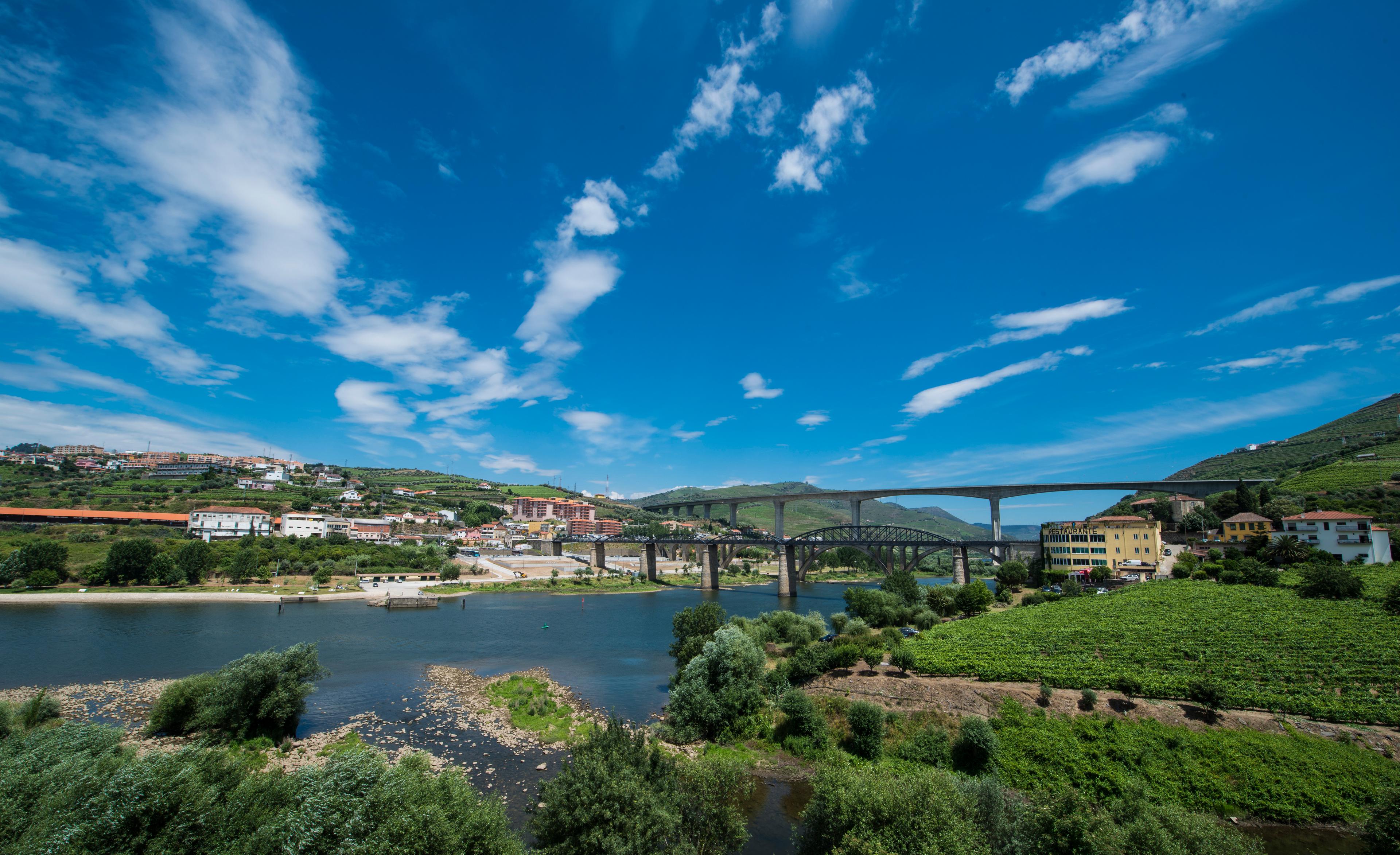 9 Must-Try Foods and Drinks in Portugal