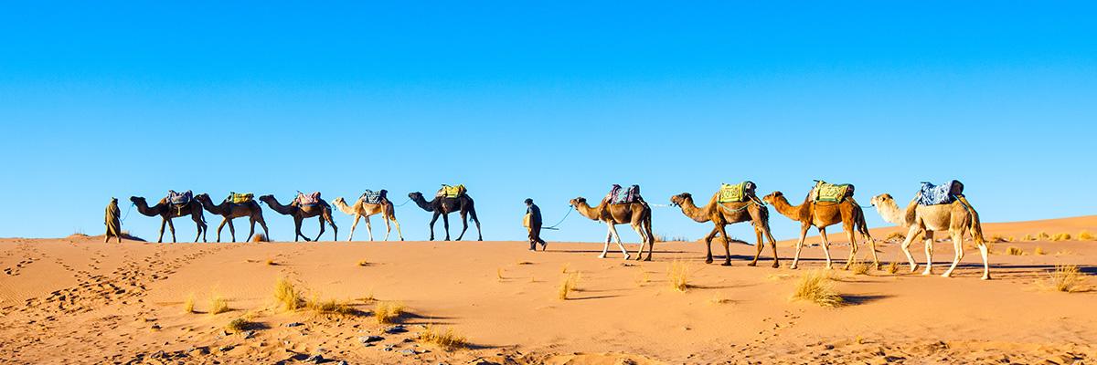 MAROC : Odyssée marocaine de luxe | 10 jours - background banner